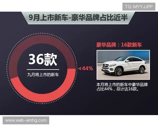 皇冠旗舰厅官方地址官方入口指南，确保每位玩家都能顺利登录体验