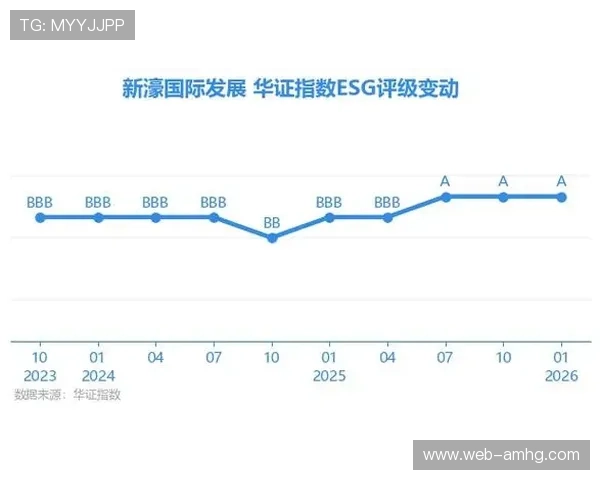 利用新濠国际官网平台进行娱乐投资的风险控制与合理收益分析