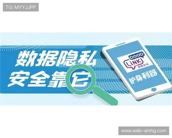 新2备用网确保网络安全防护措施全面守护您的隐私信息安全